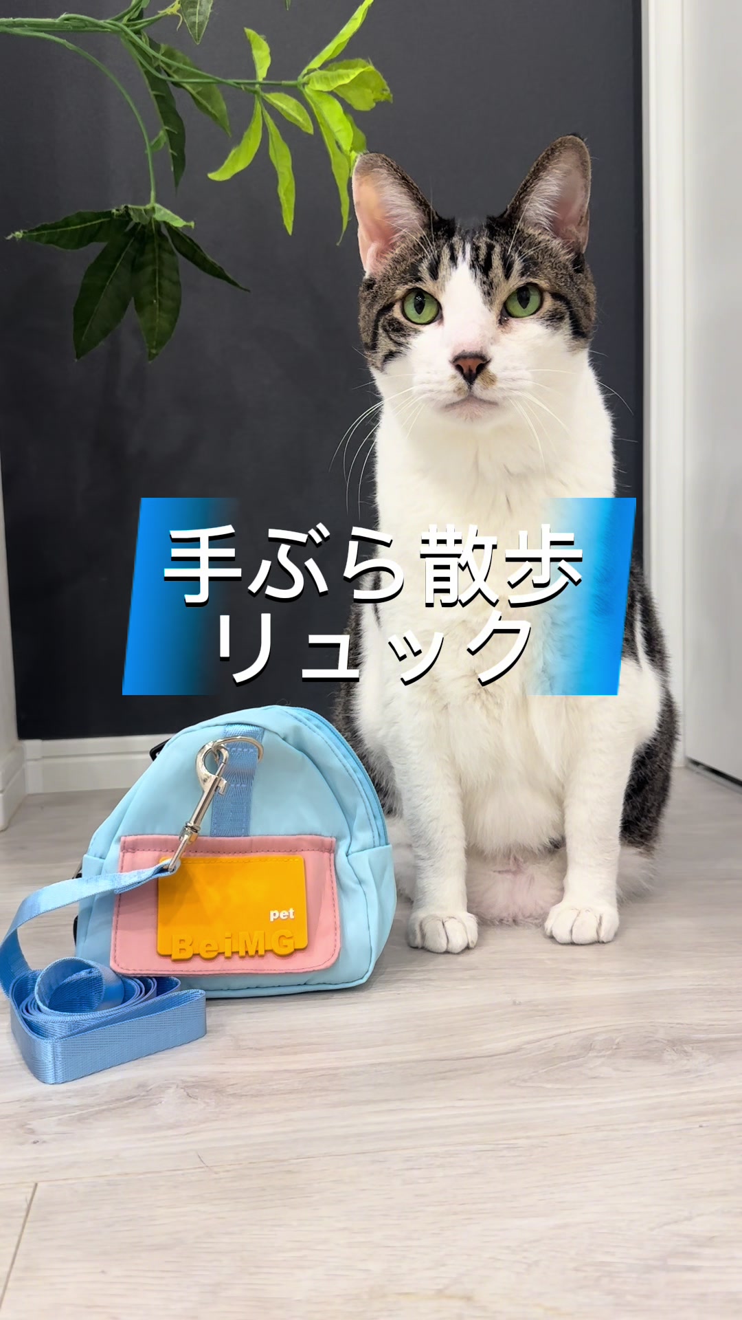 @ãºãå
çððïž