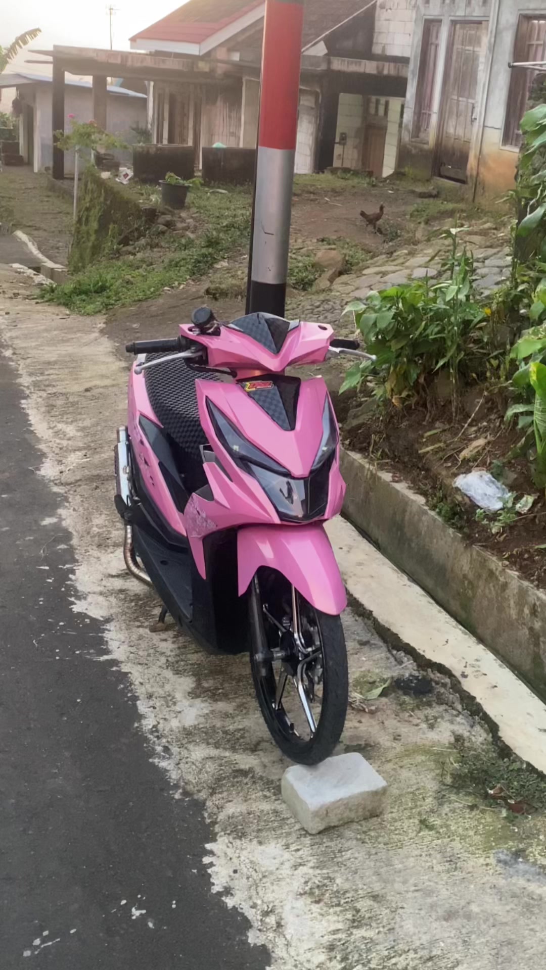 @n4spppp
