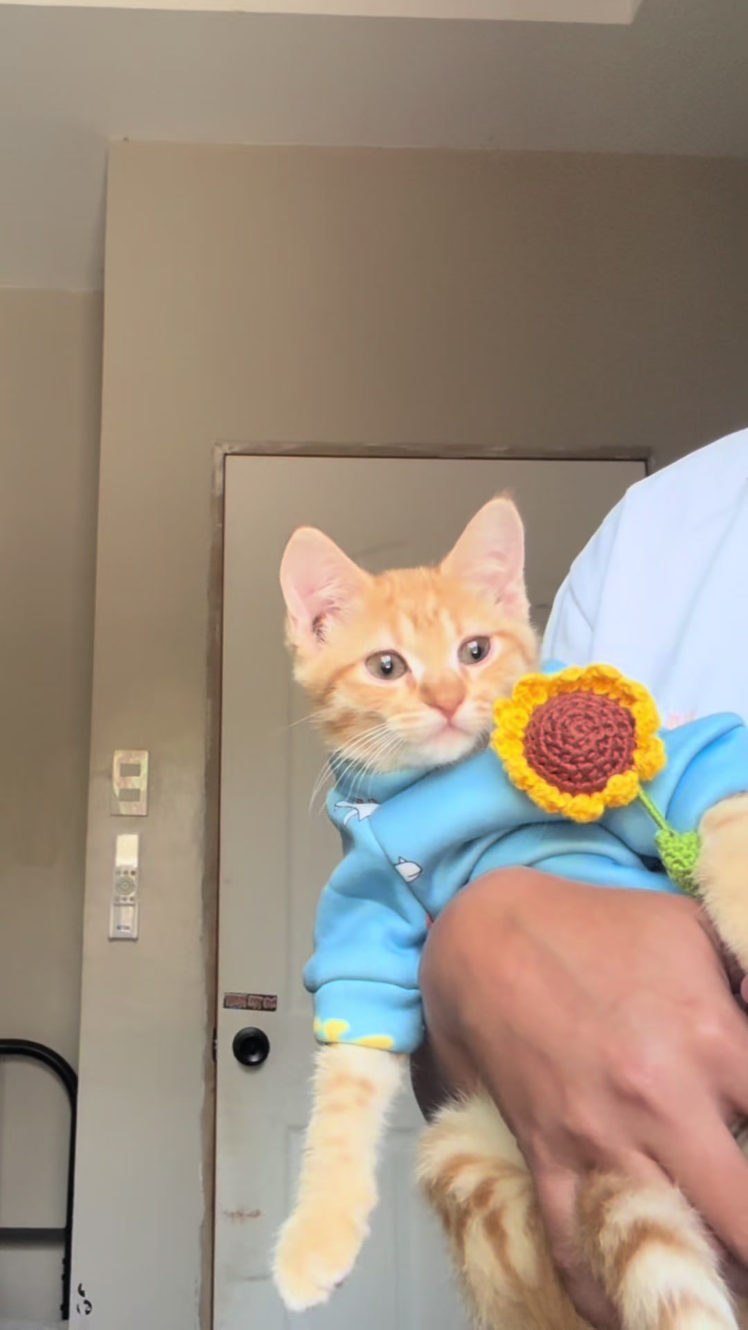 @It’s MEow