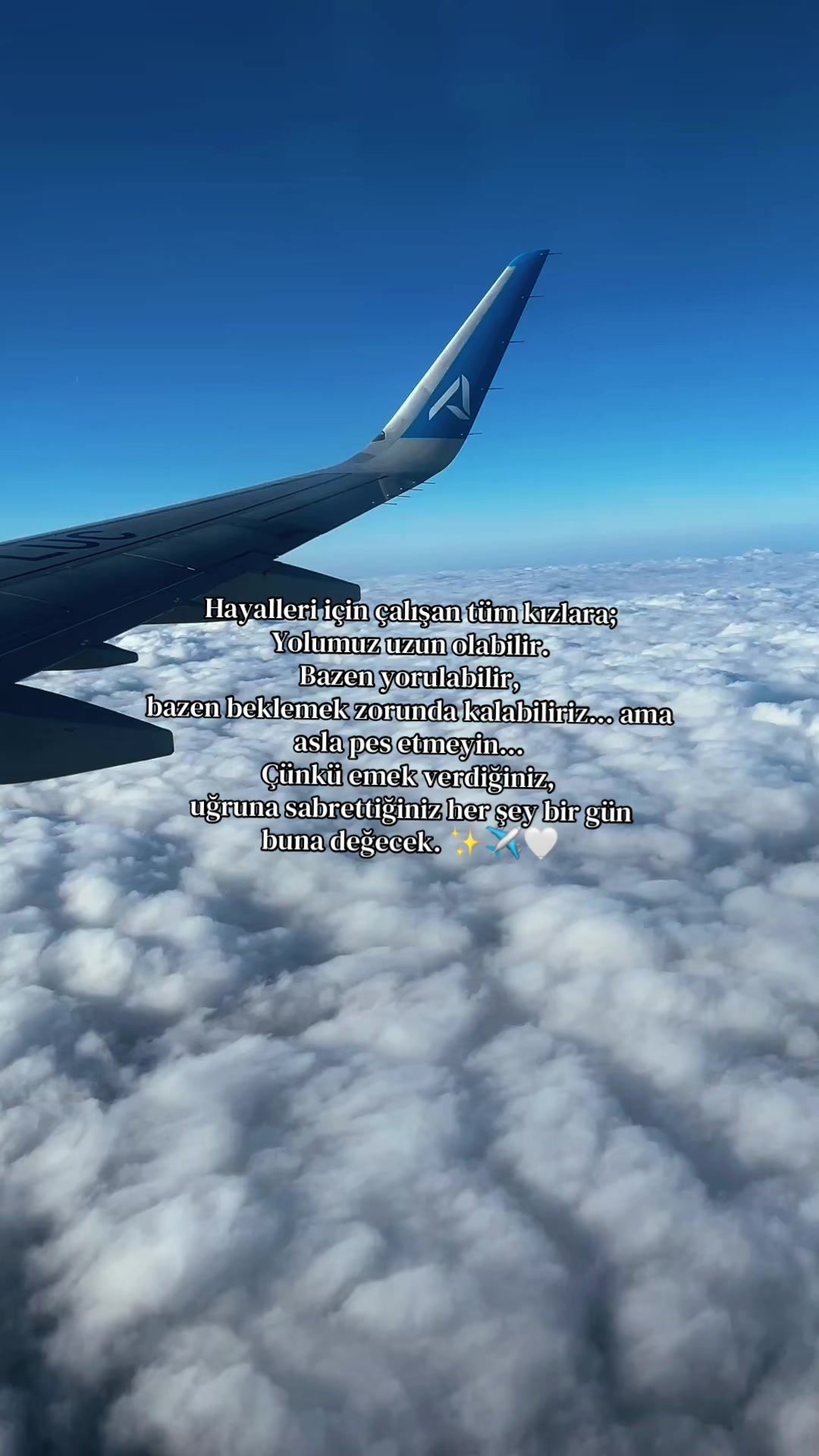 @ℳ ᥫ᭡