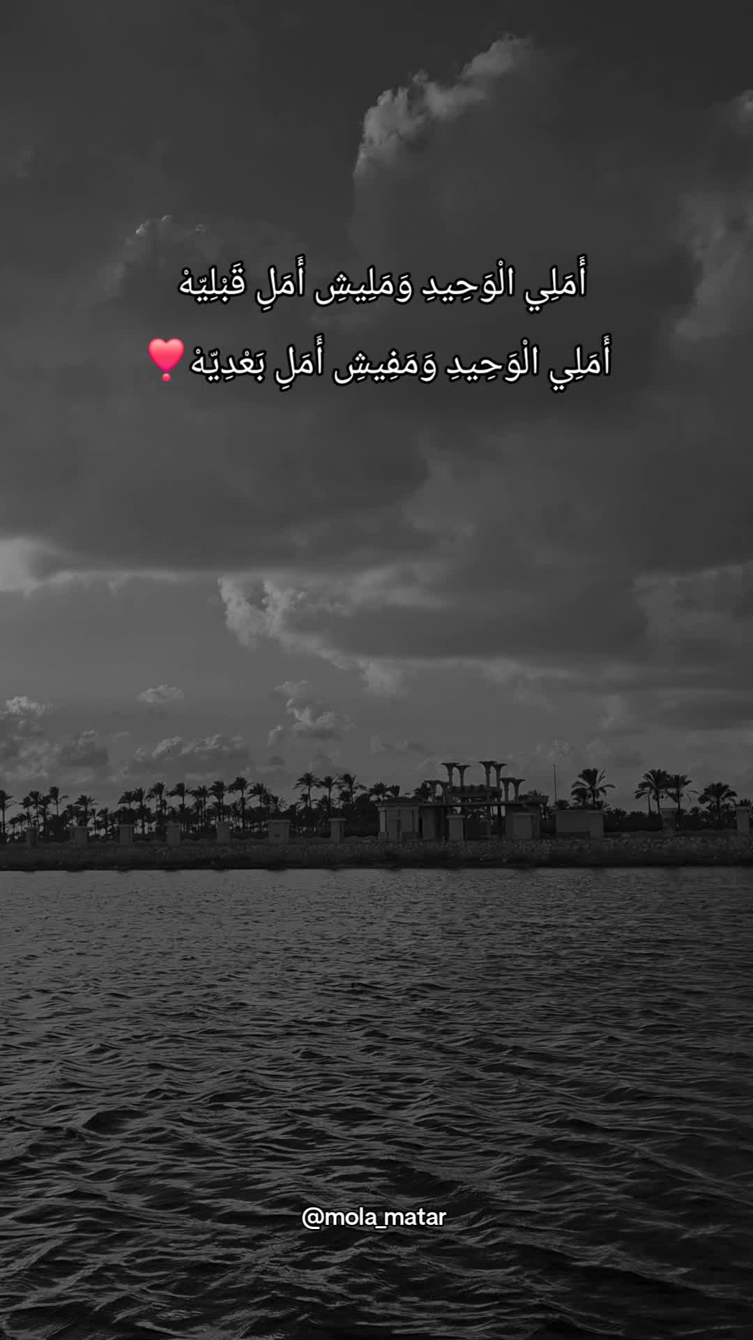 @MolaMatar