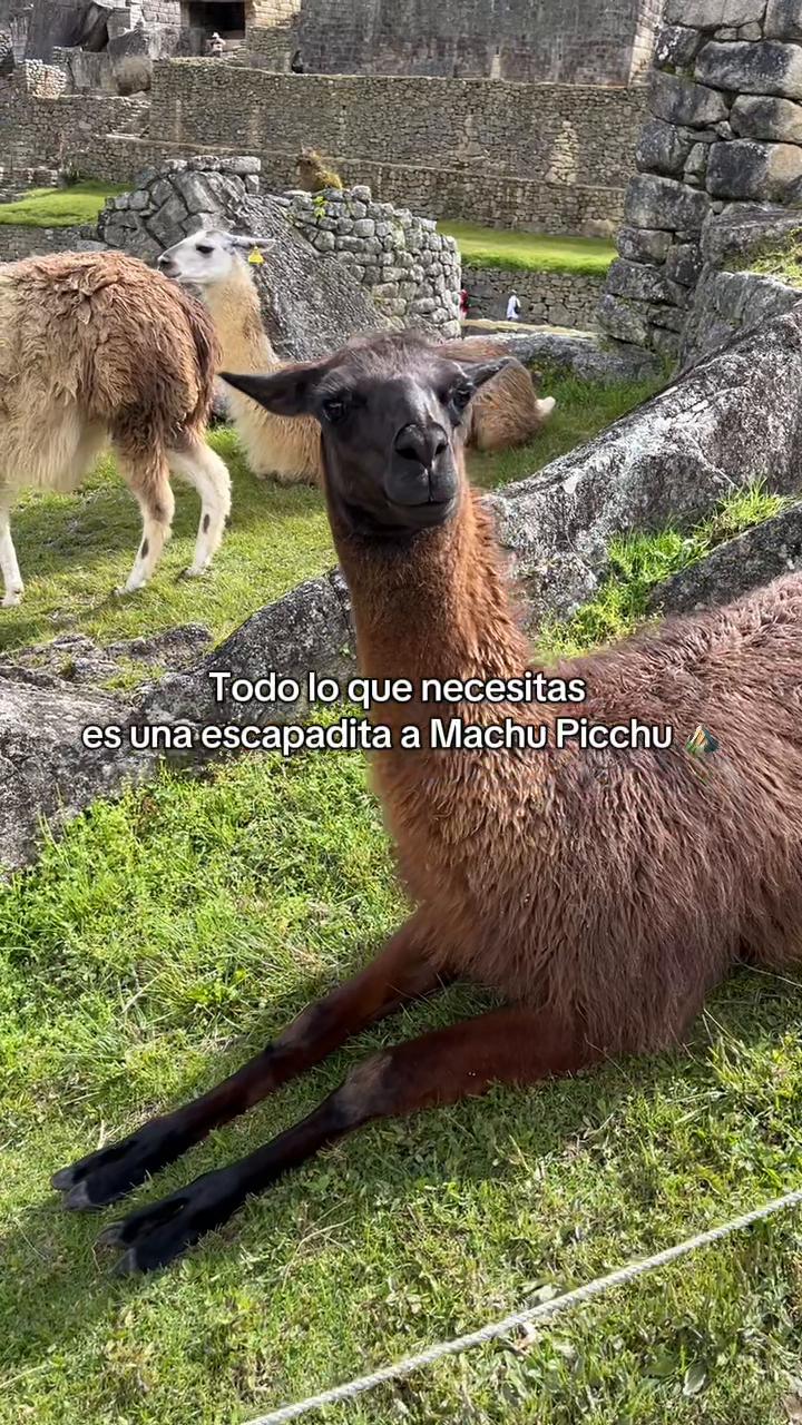 @Cusco Bonito