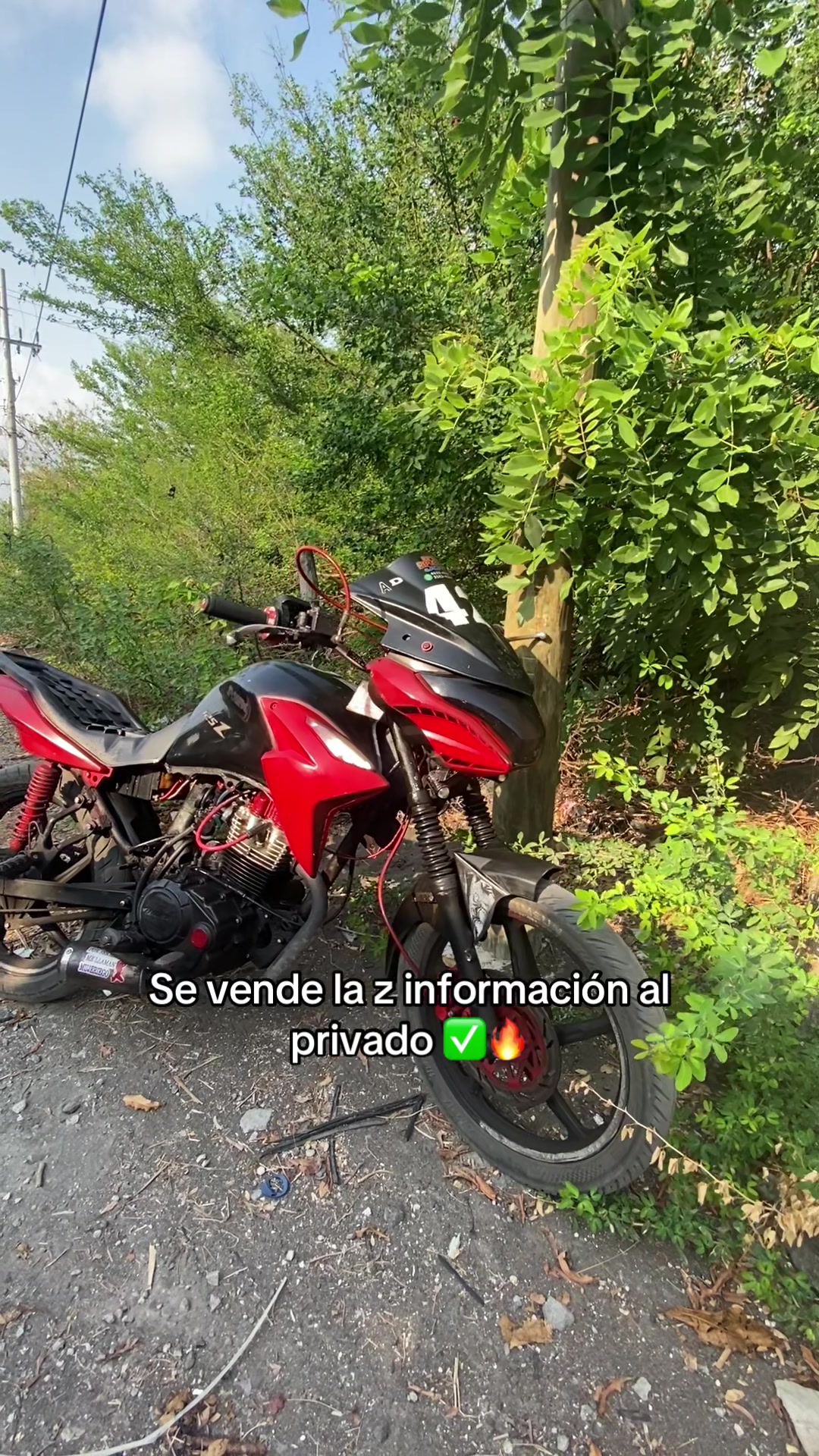 @𝑨 𝑳 𝑬 𝑿 •🚀🫨