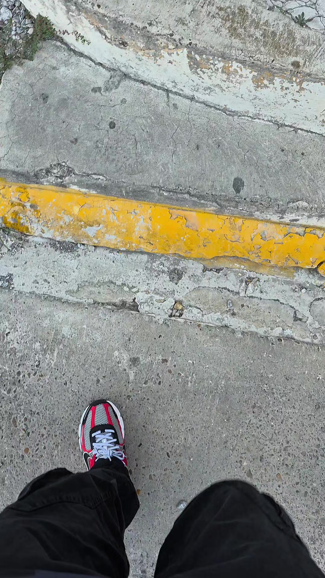 @Yisus OGC👽