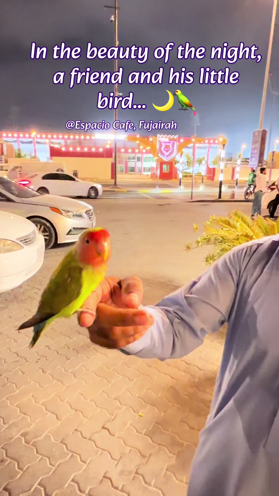 @Fujairah Lovers