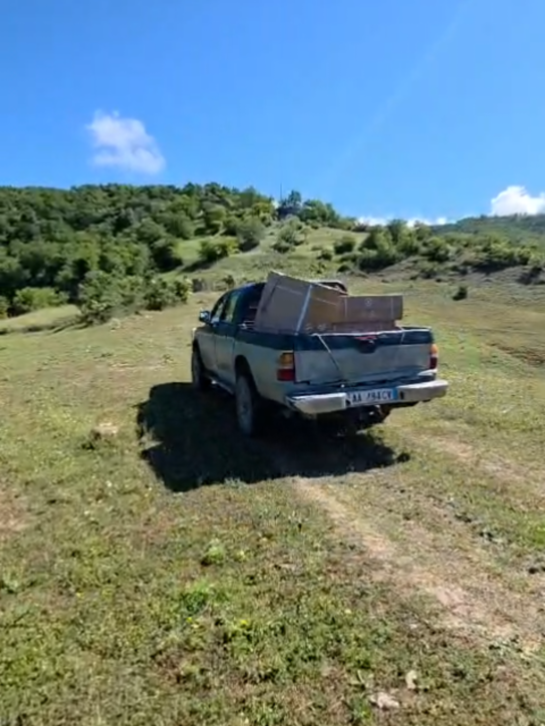 @intex albania