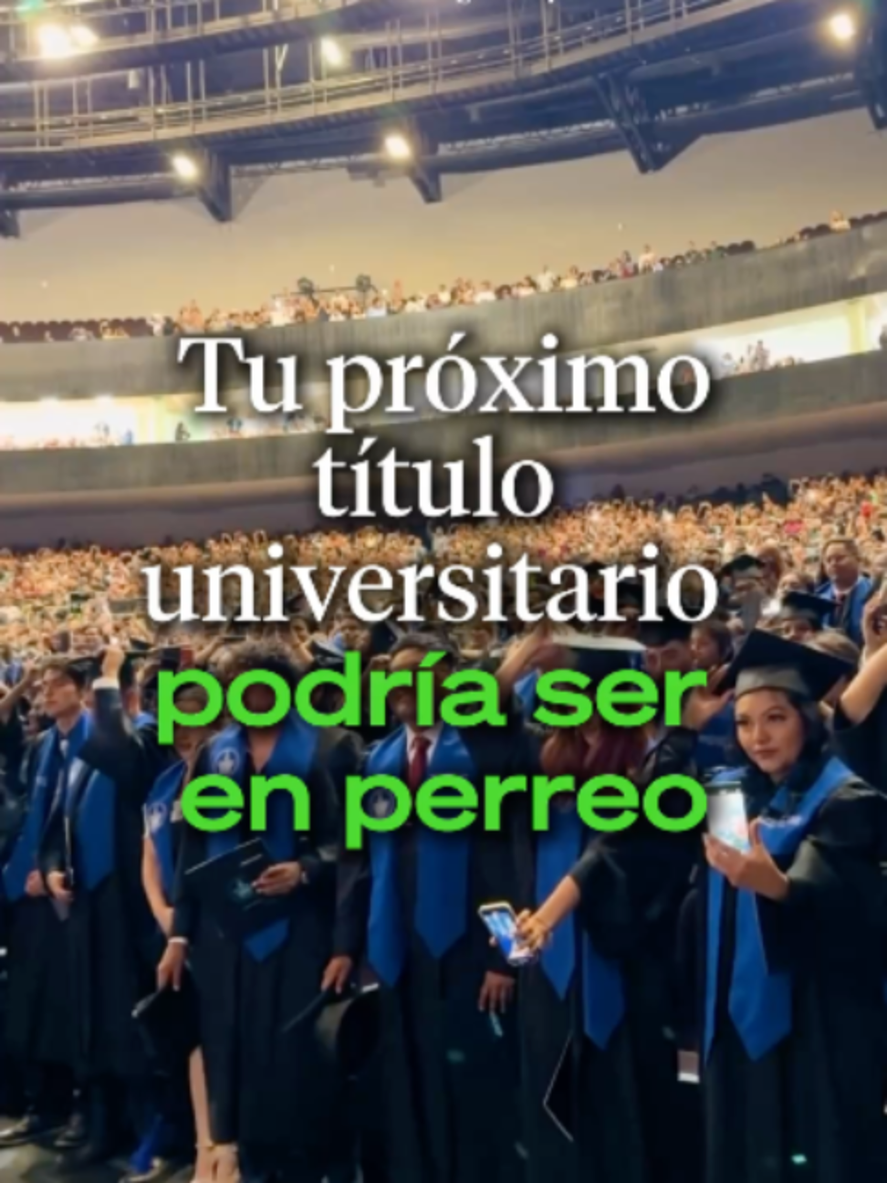 @Ahora Entiendo