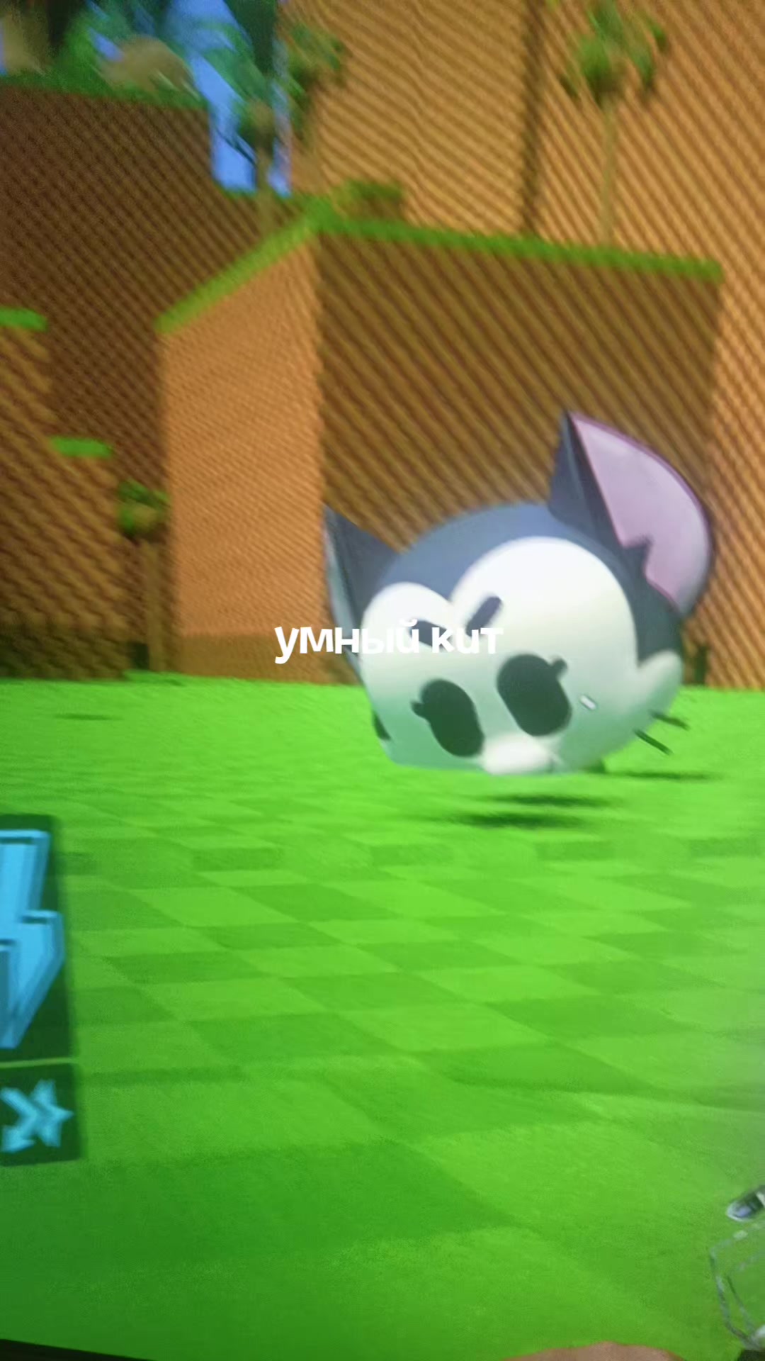 @Ciiz&deg;