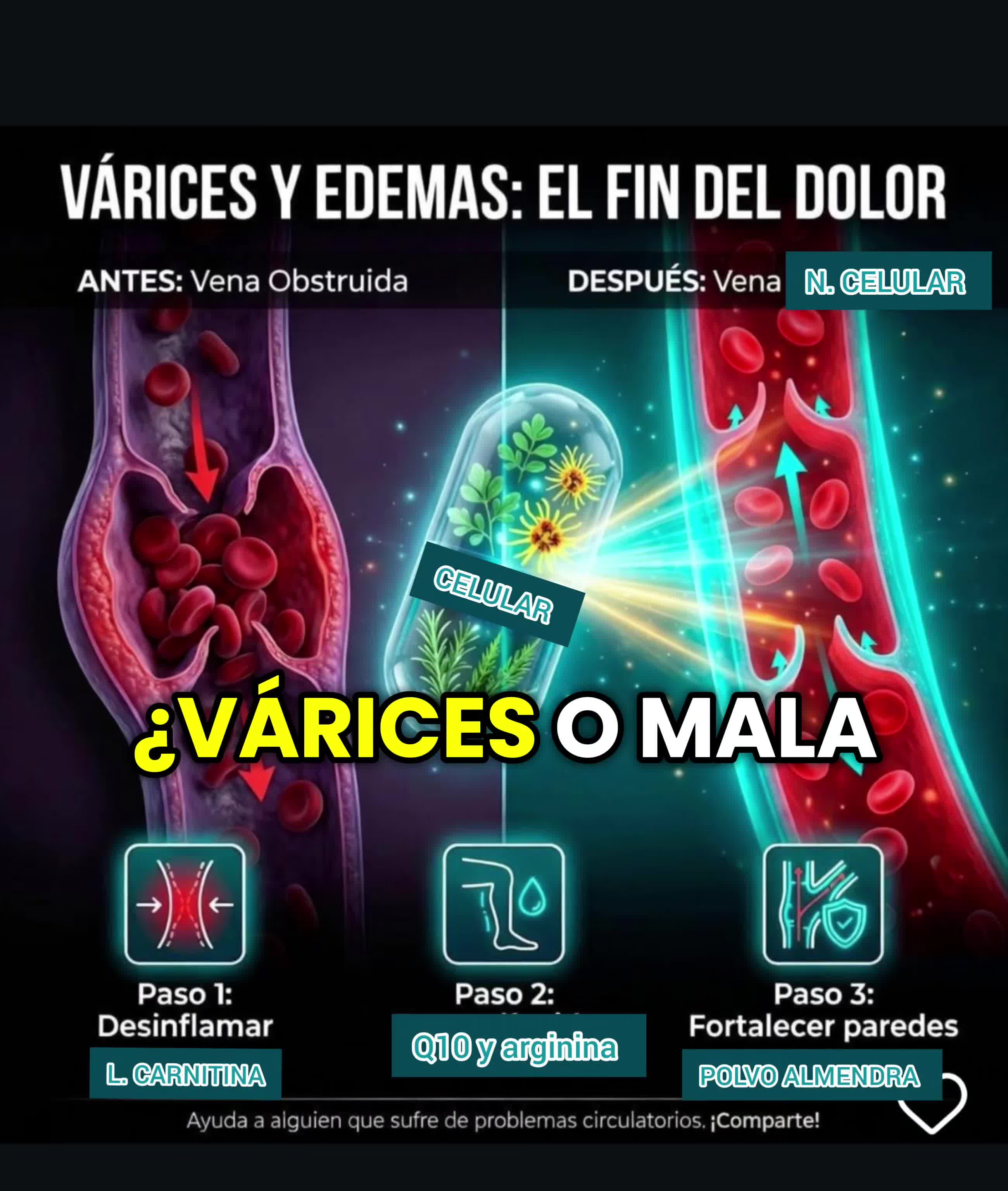 @limpia_tu_sangre