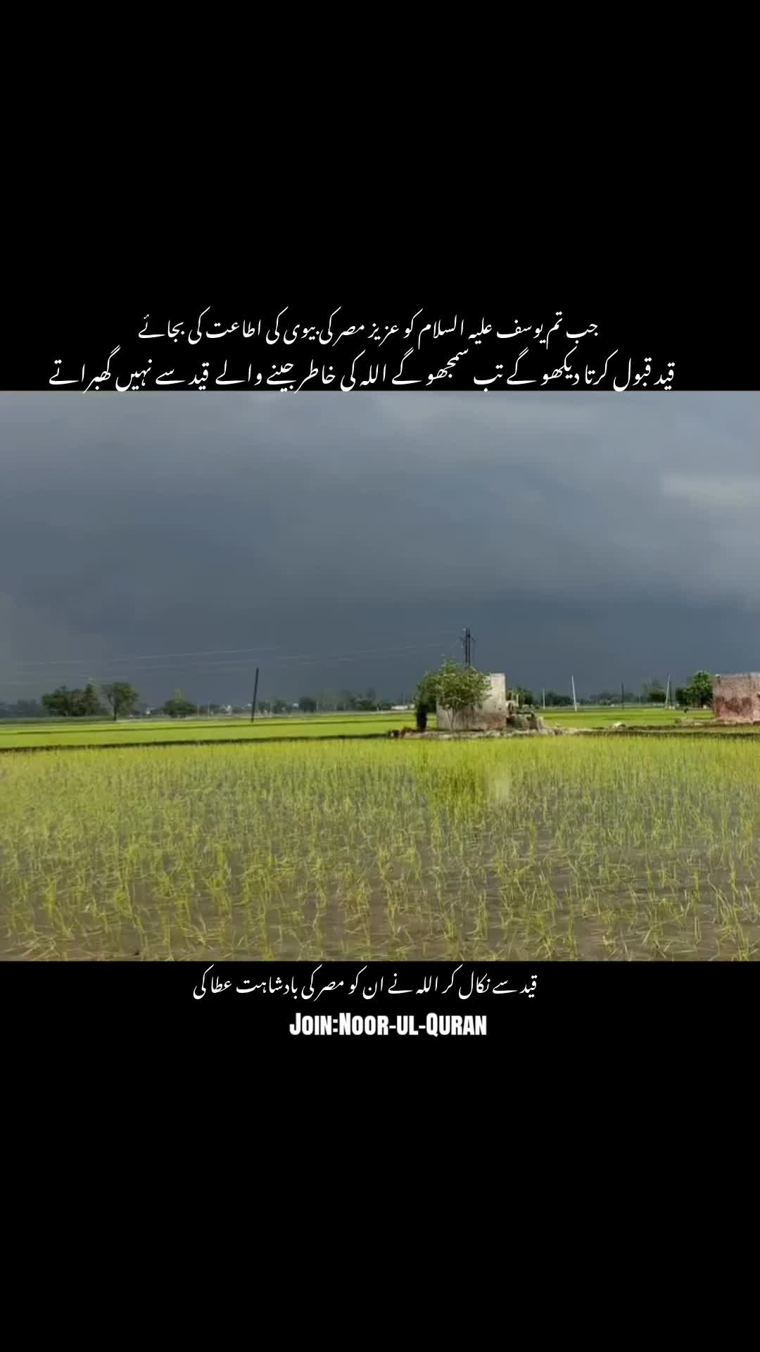 @قیس ✨🤍