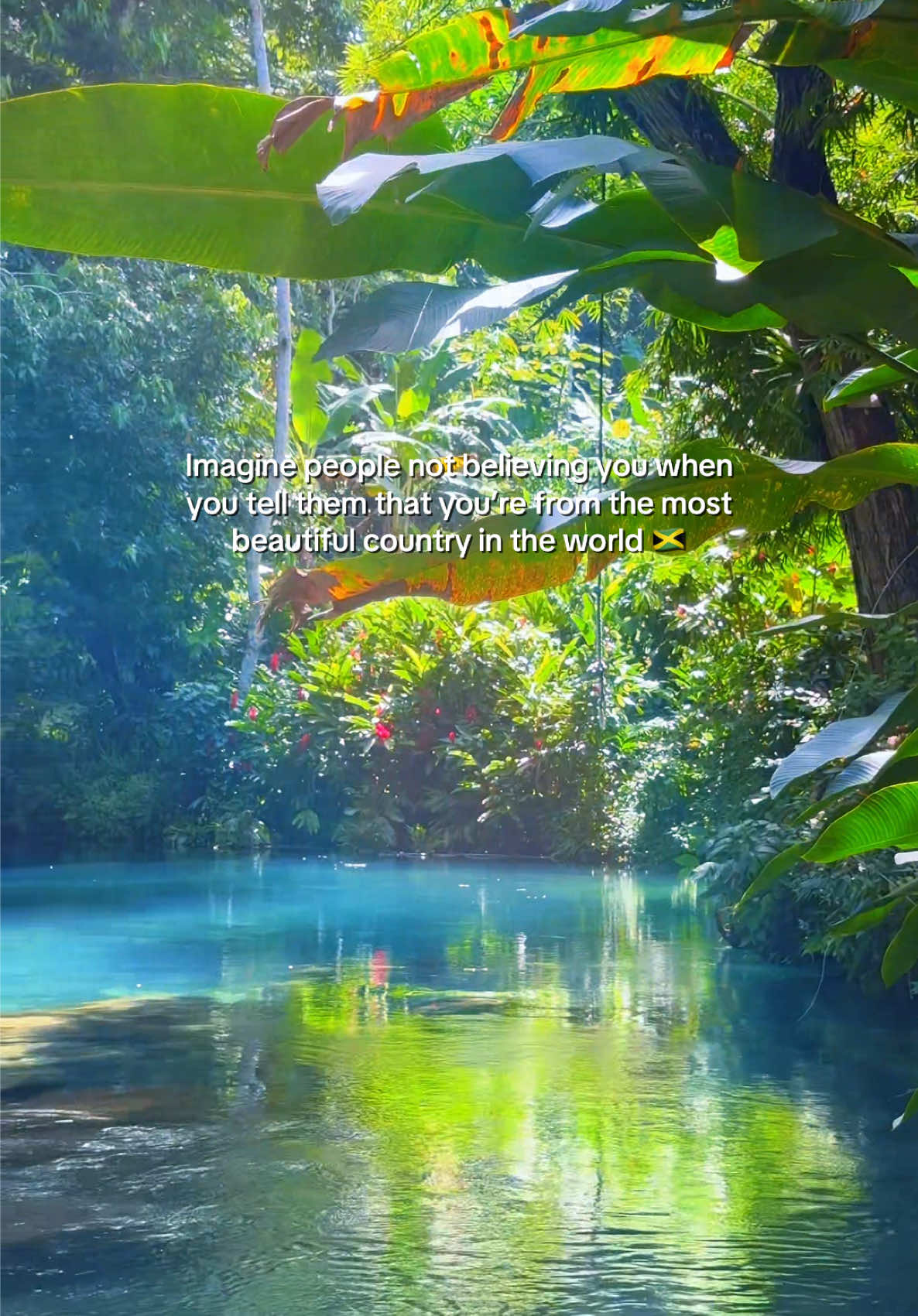 @Justin 🇯🇲