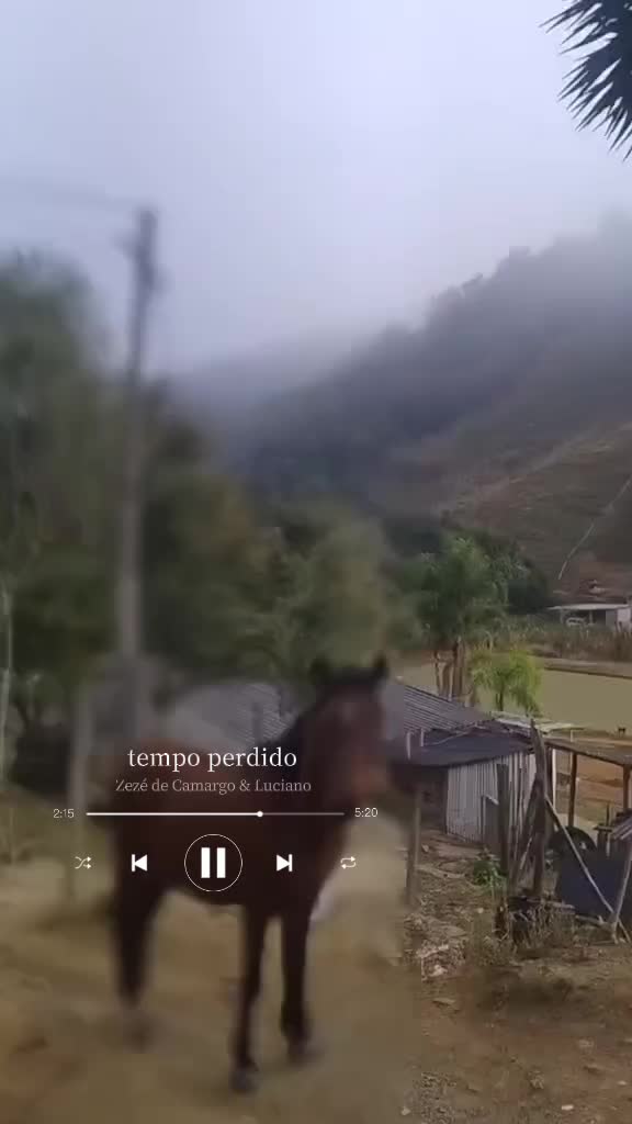 @Bruna_ofcc