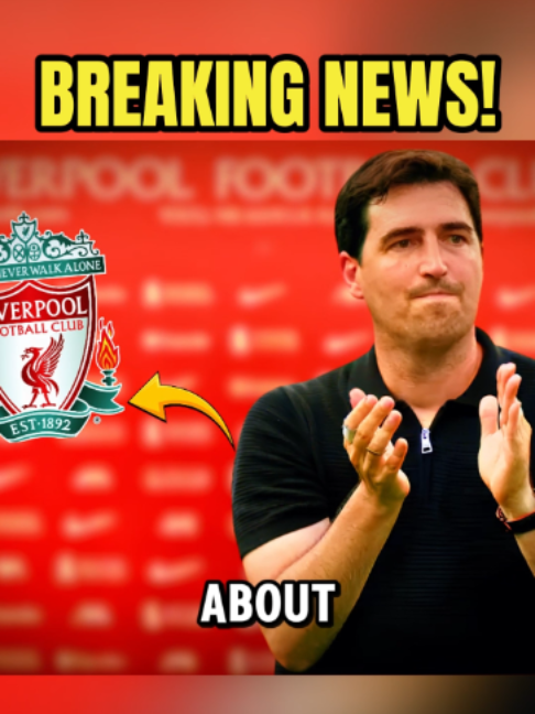 @Liverpool Daily News
