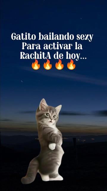 @🦋Lunita🔥_🇧🇴🇦🇷🎧