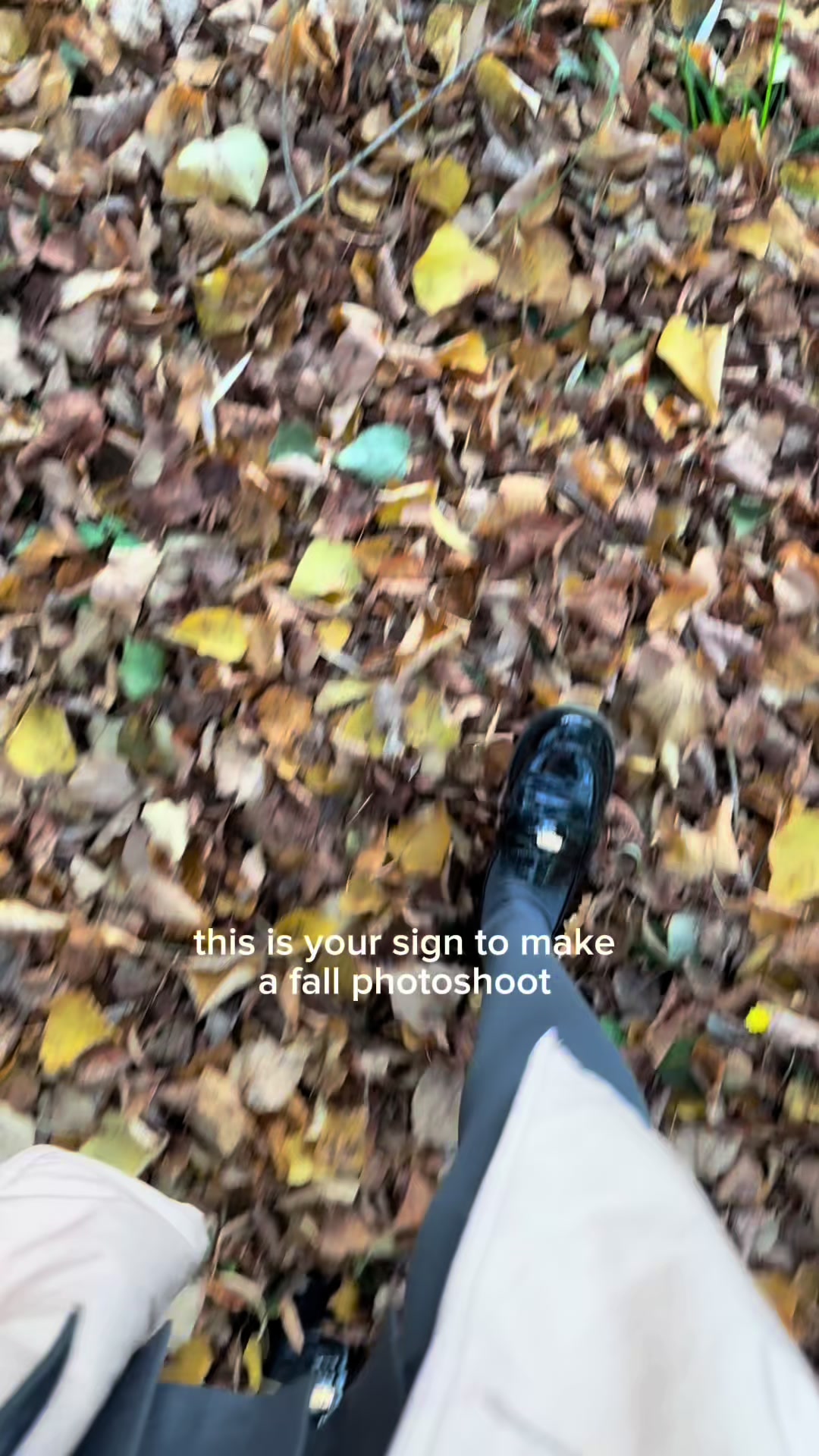 @hardiana