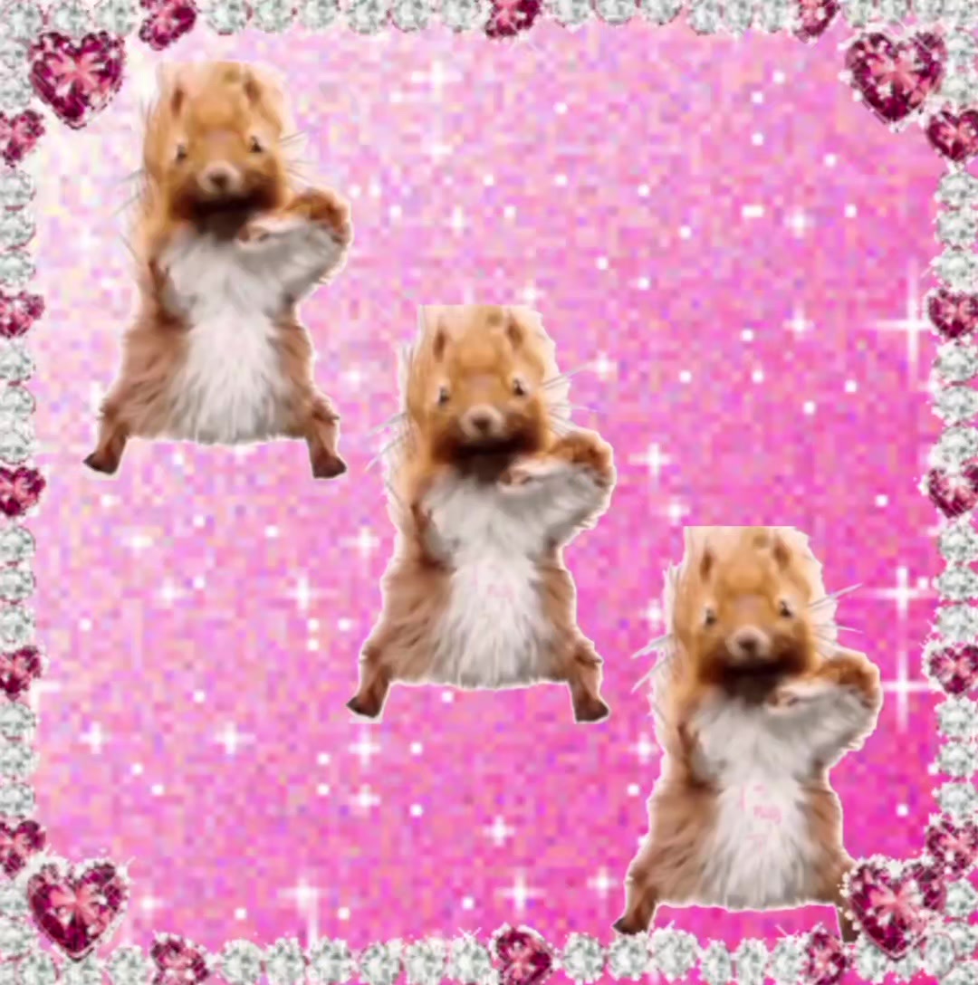 @ʕ˶ᵔ ﻌ ᵔ˶ʔ ♡ ⋆。˚