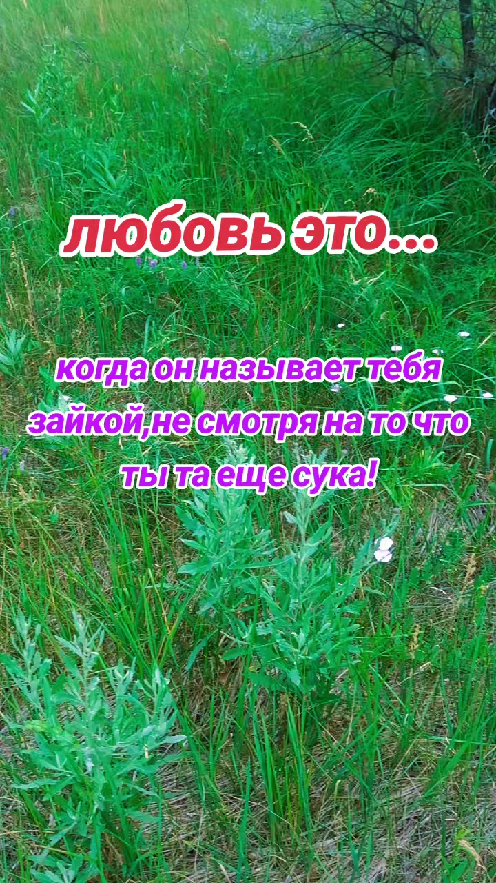 @токсичная2412