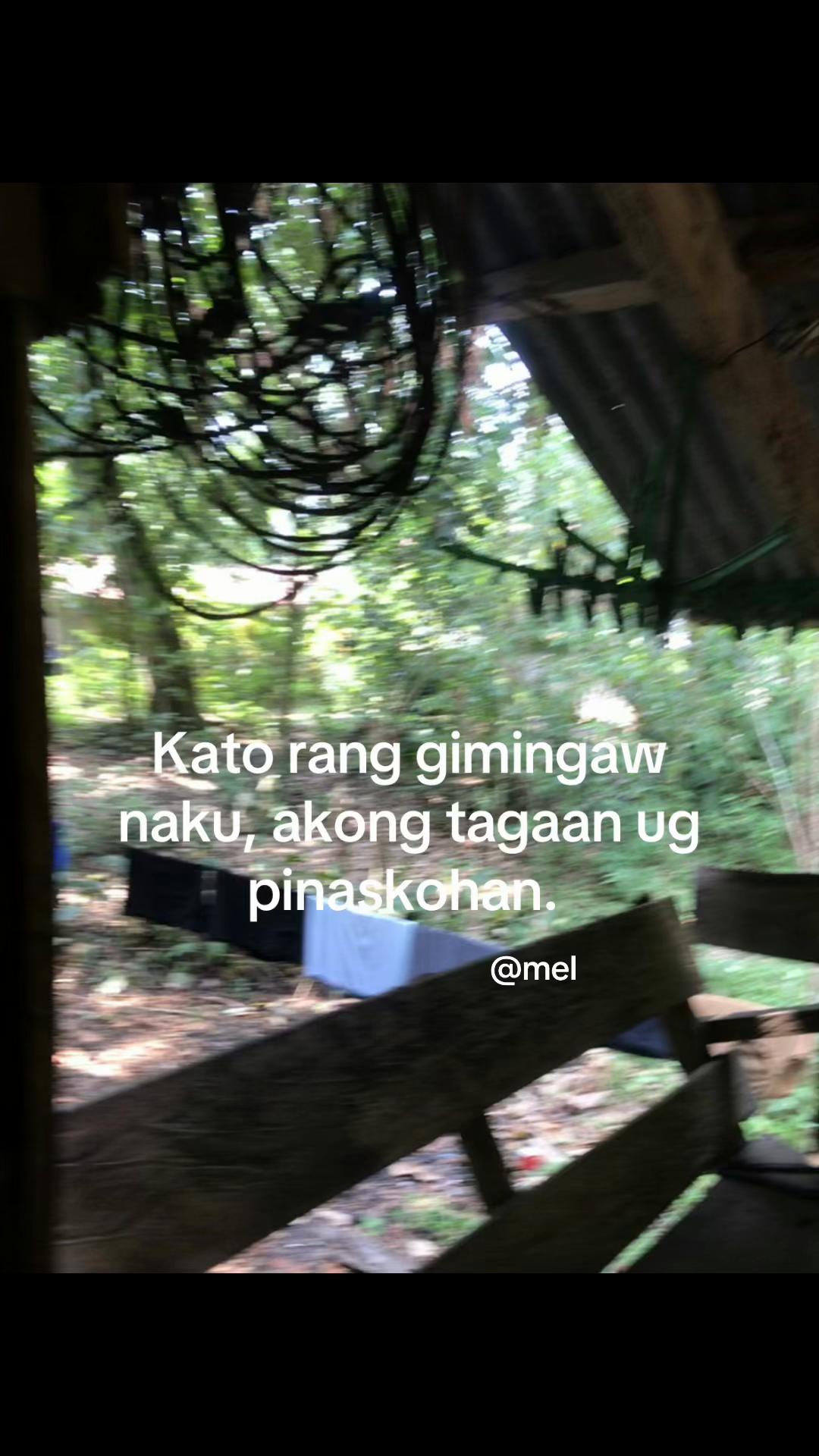 @leomel💤