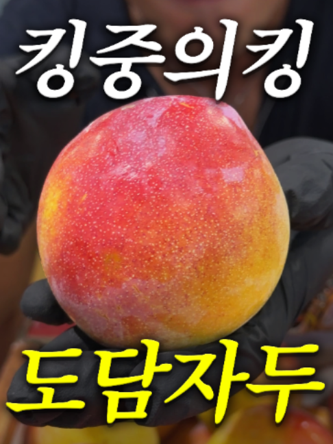 @해운대송사장