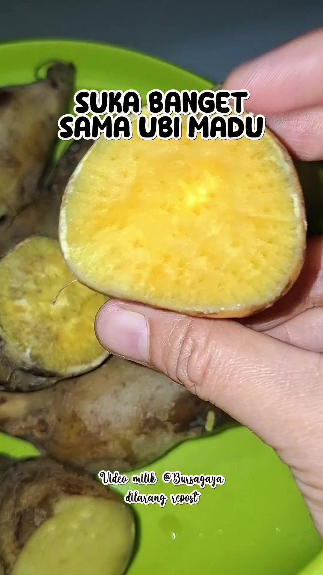 @bursagaya