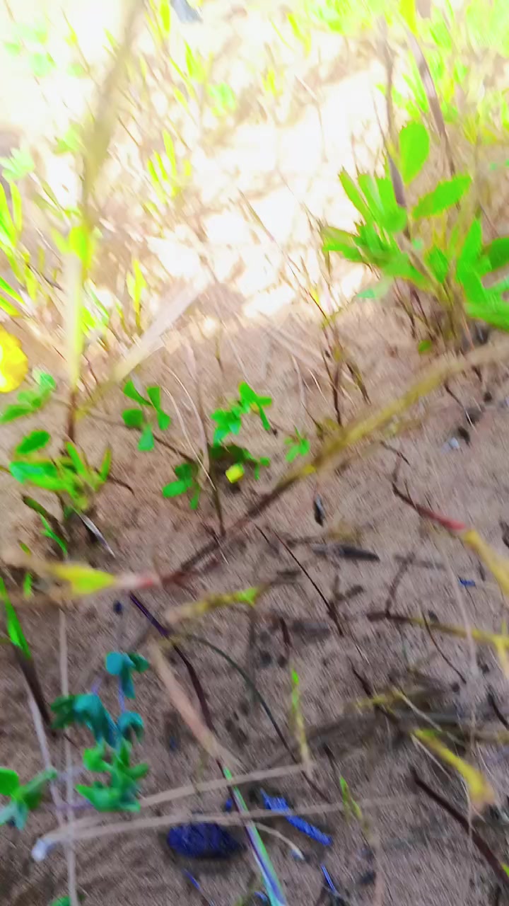 @𝓐 🩹🤍