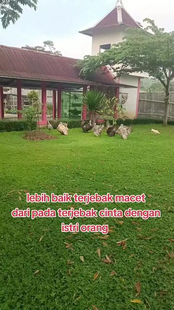@Mbah ranto