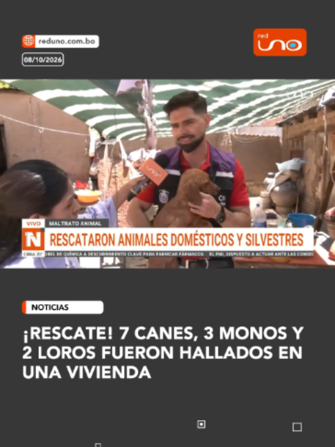 @RED UNO DE BOLIVIA