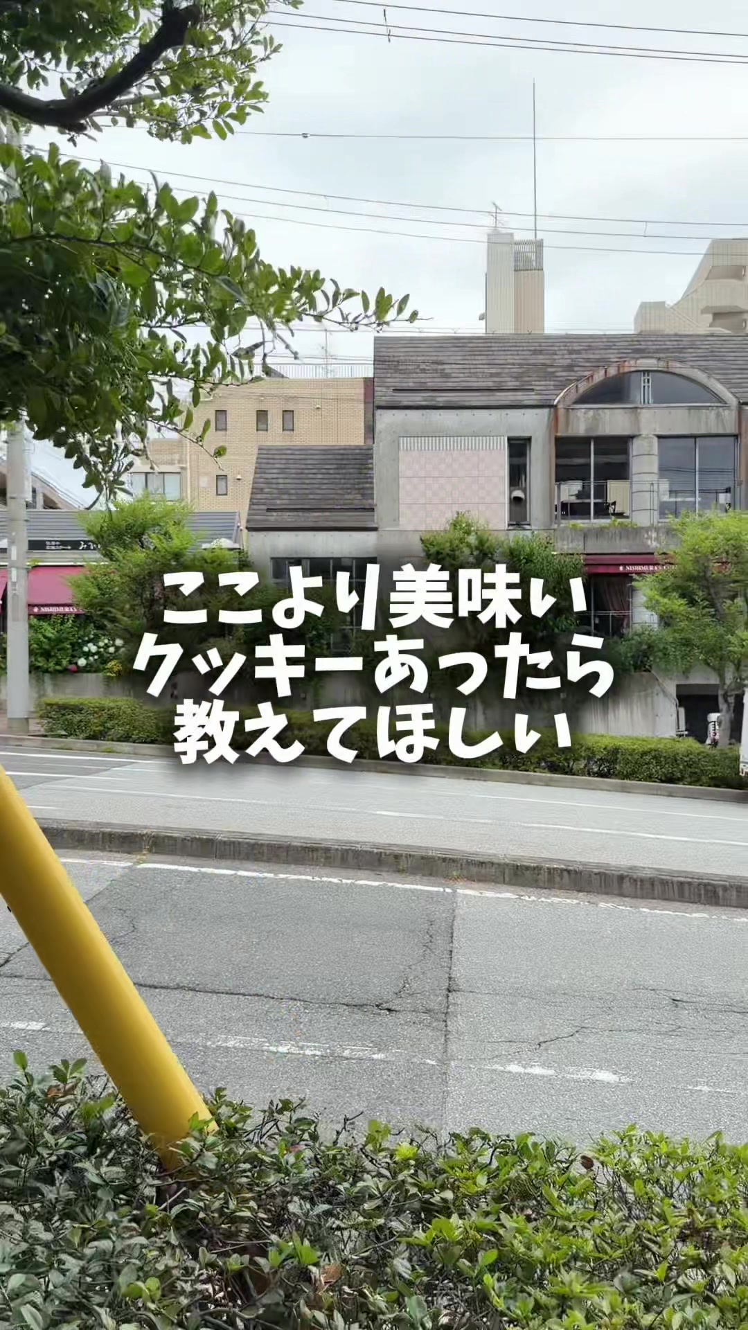 @セバ【大阪グルメ王関西グルメ王におれはなる】