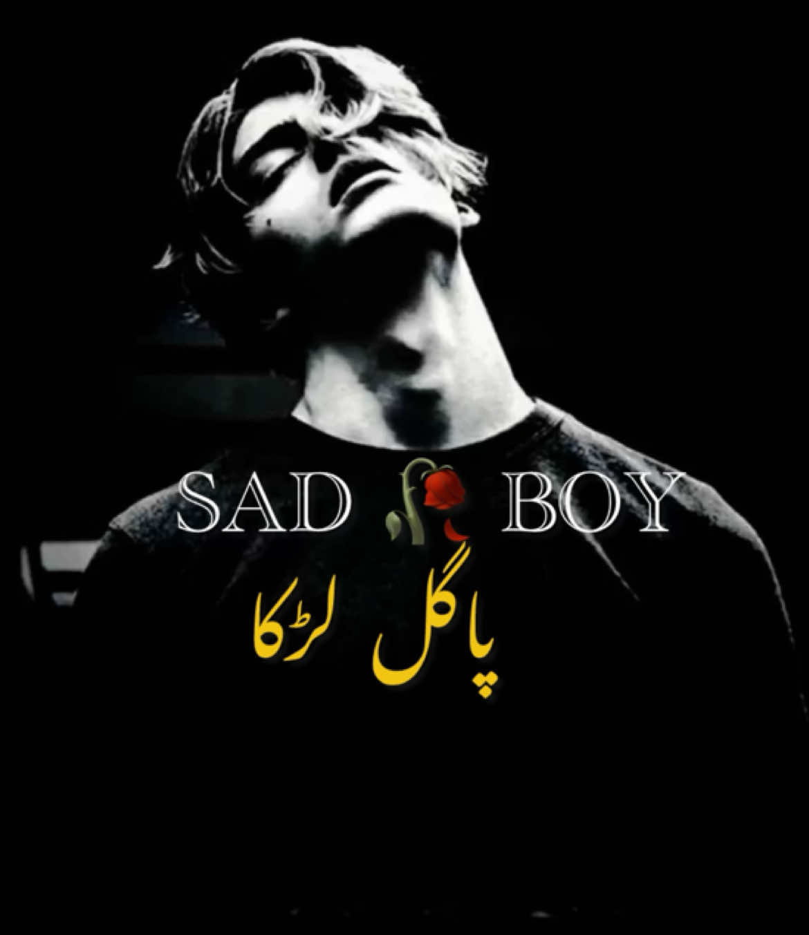 @😢 SAD BOY🎶