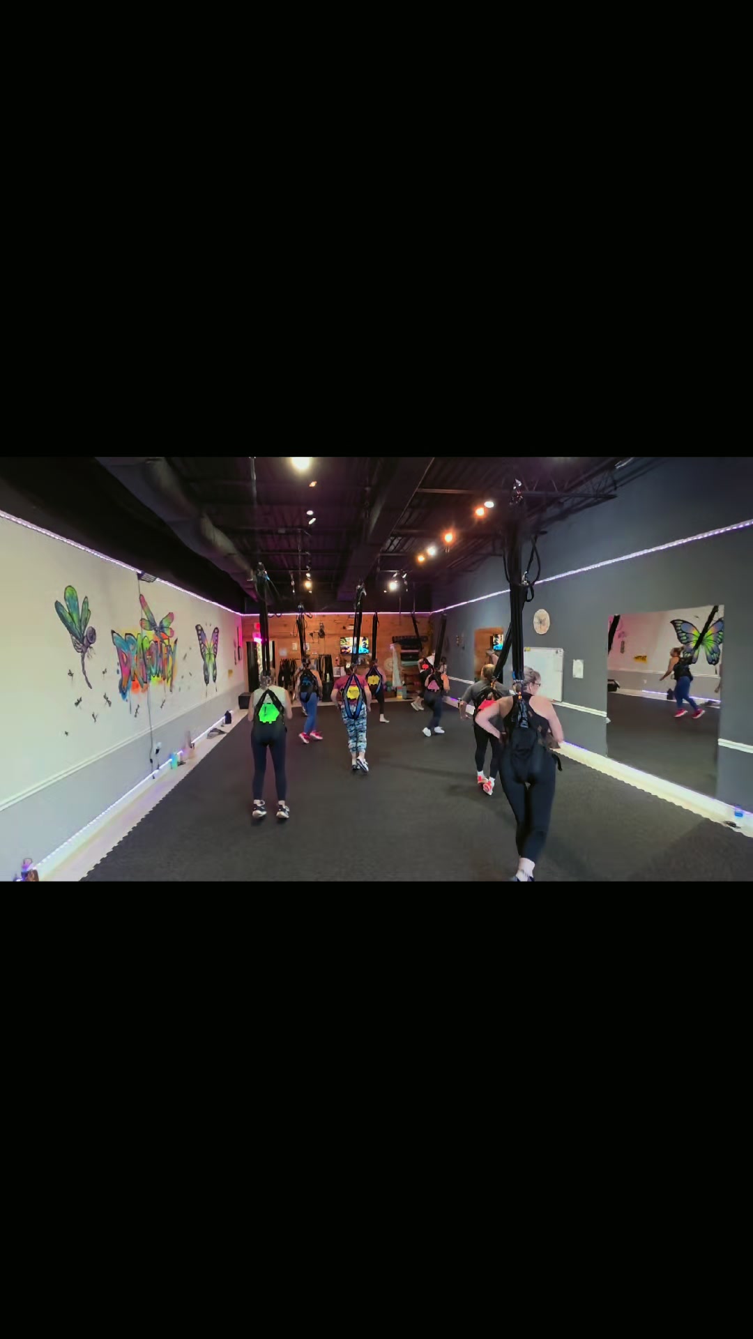 @Dragonfly Bungee