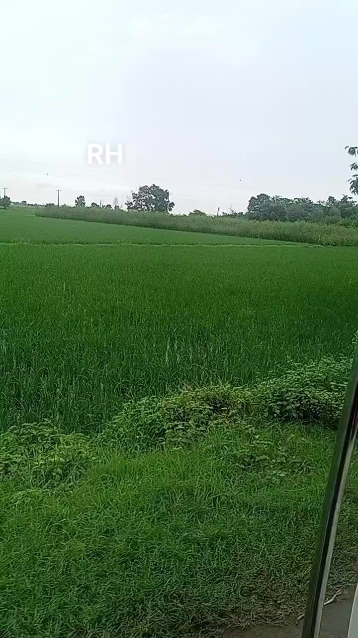 @🤑شیخ صاحب 341