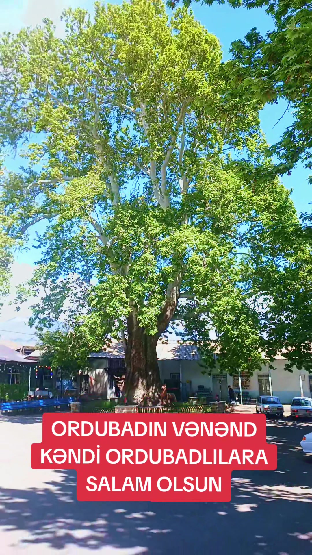 @Qasım_Tofiqoğlu