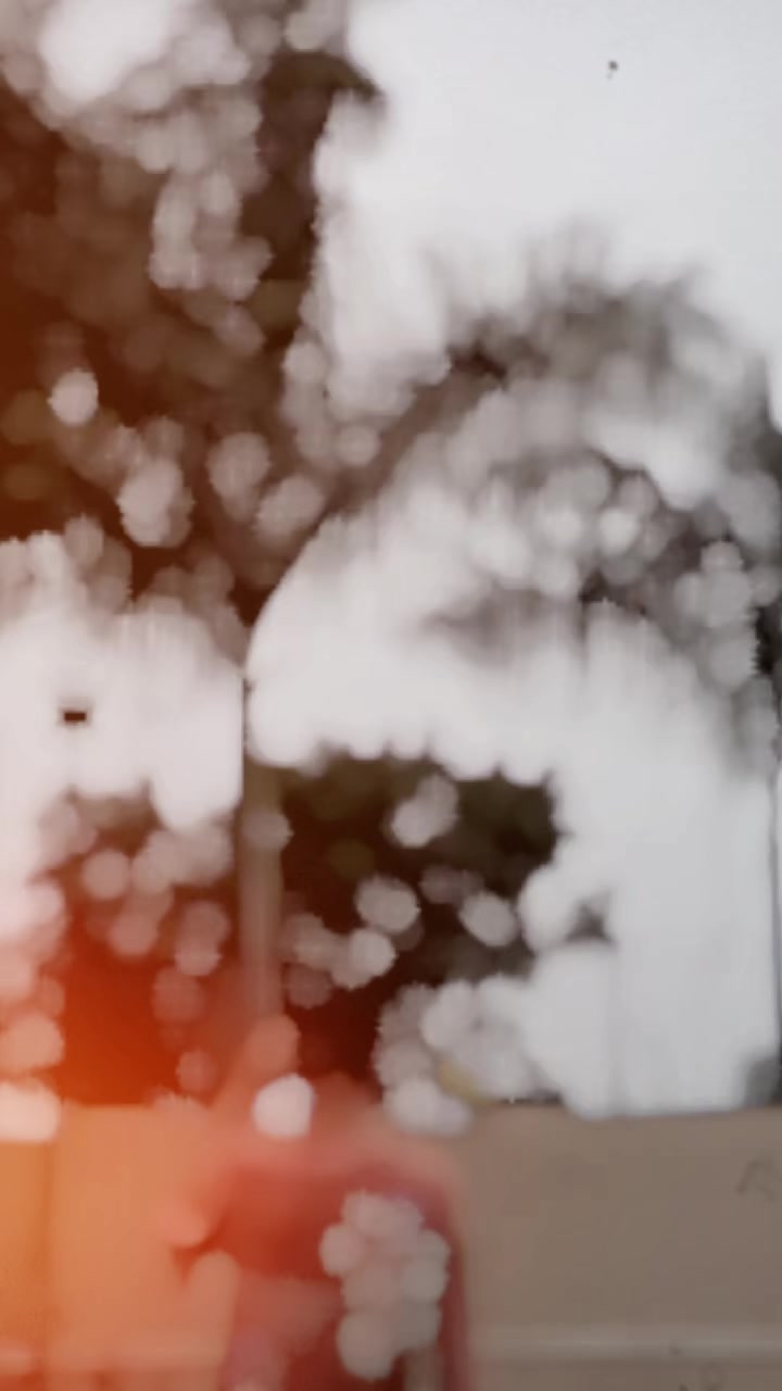 @fav alone 🗯️💐🇳🇵