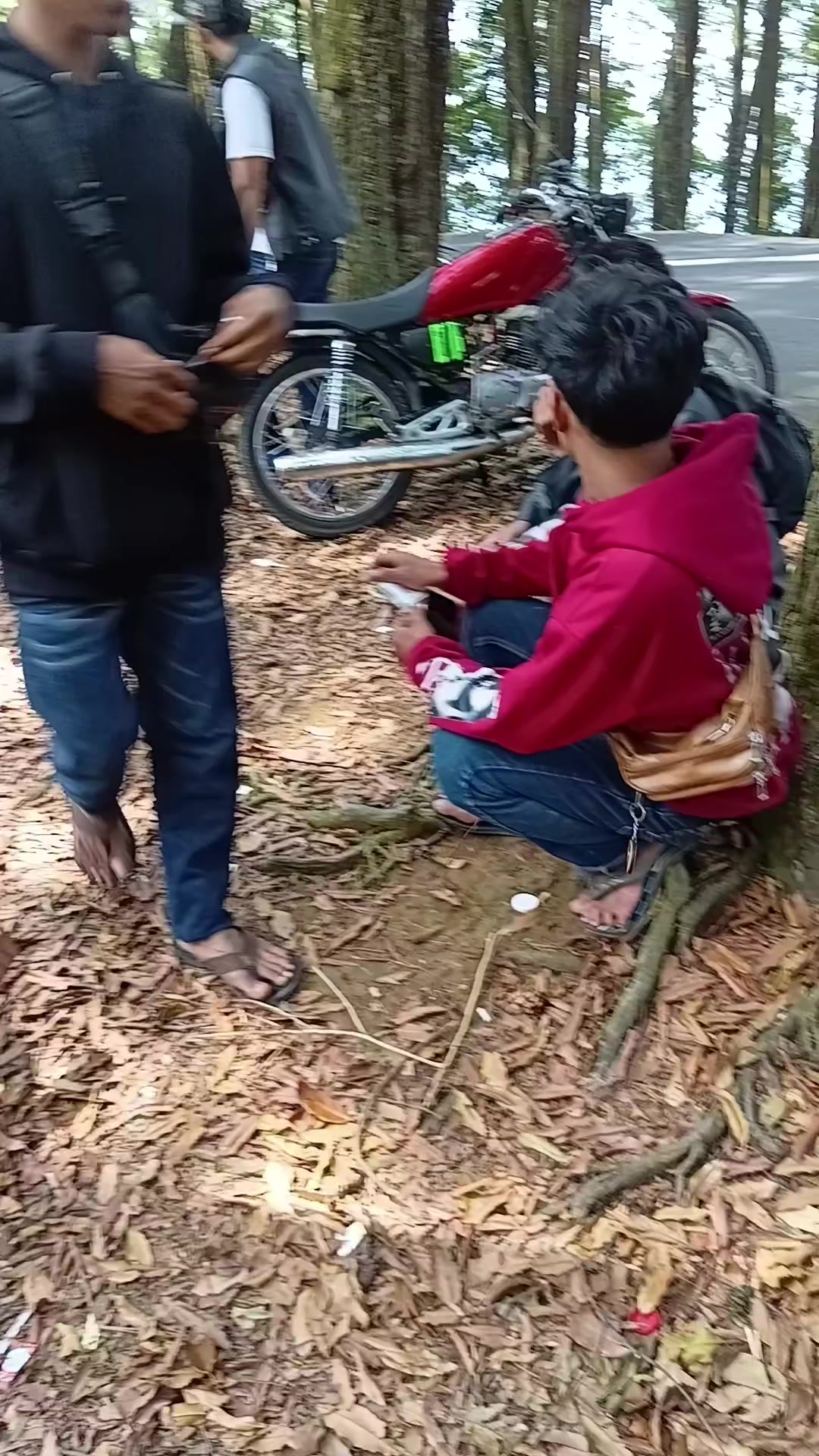 @alfalendra