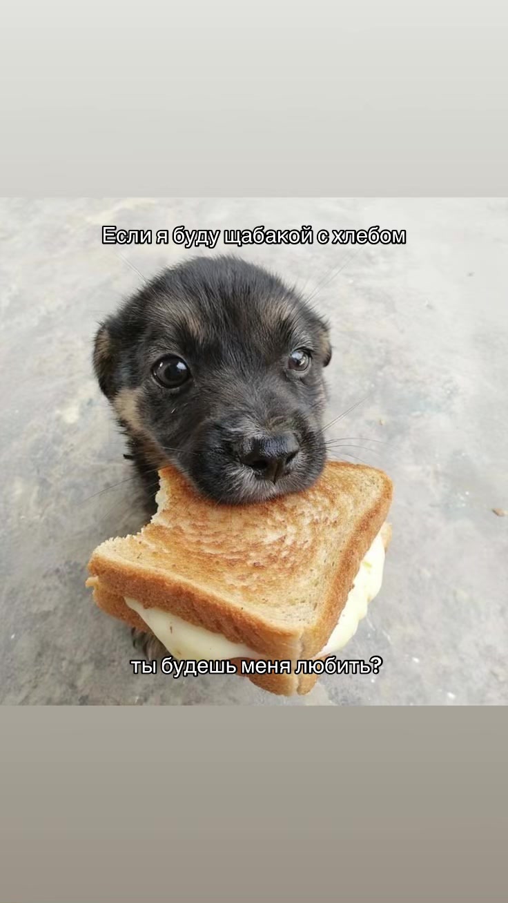 @Забытая