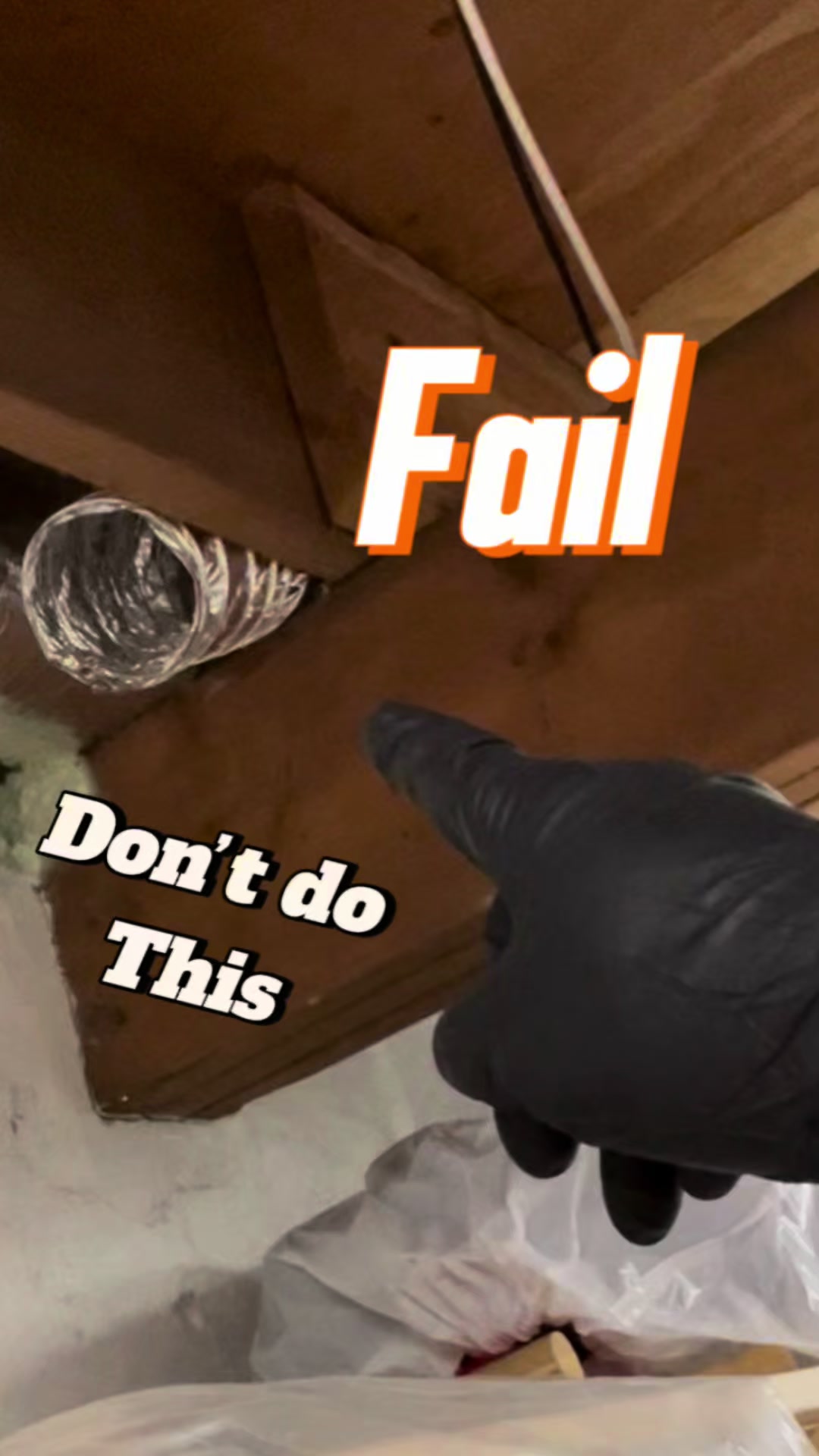 @Long Island Mold Guy