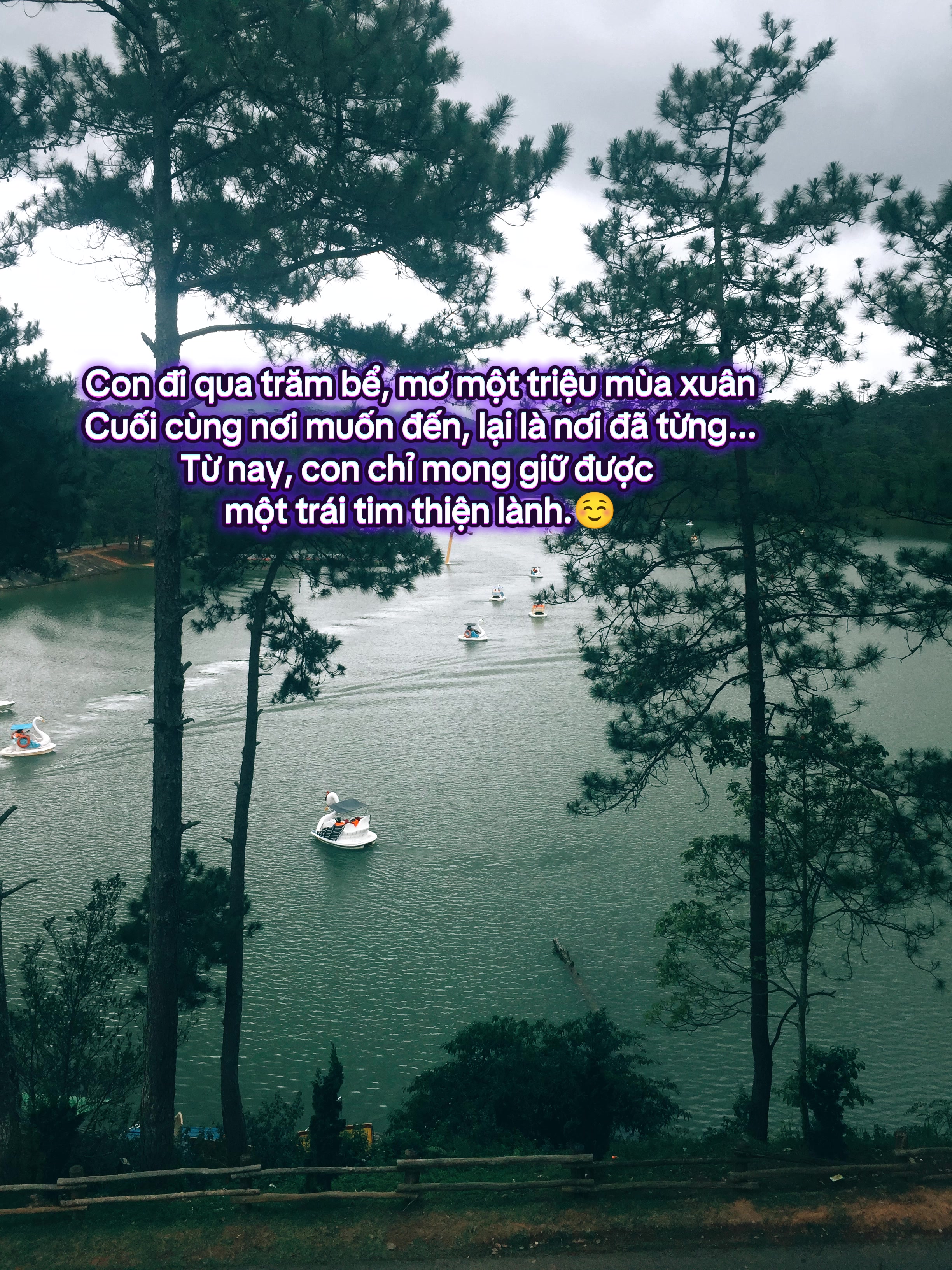 @Trần Anh Tuấn ✌️