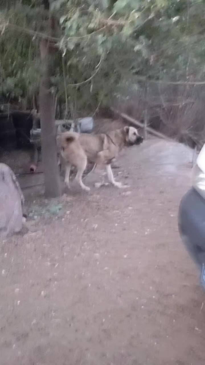 @efeekmekci