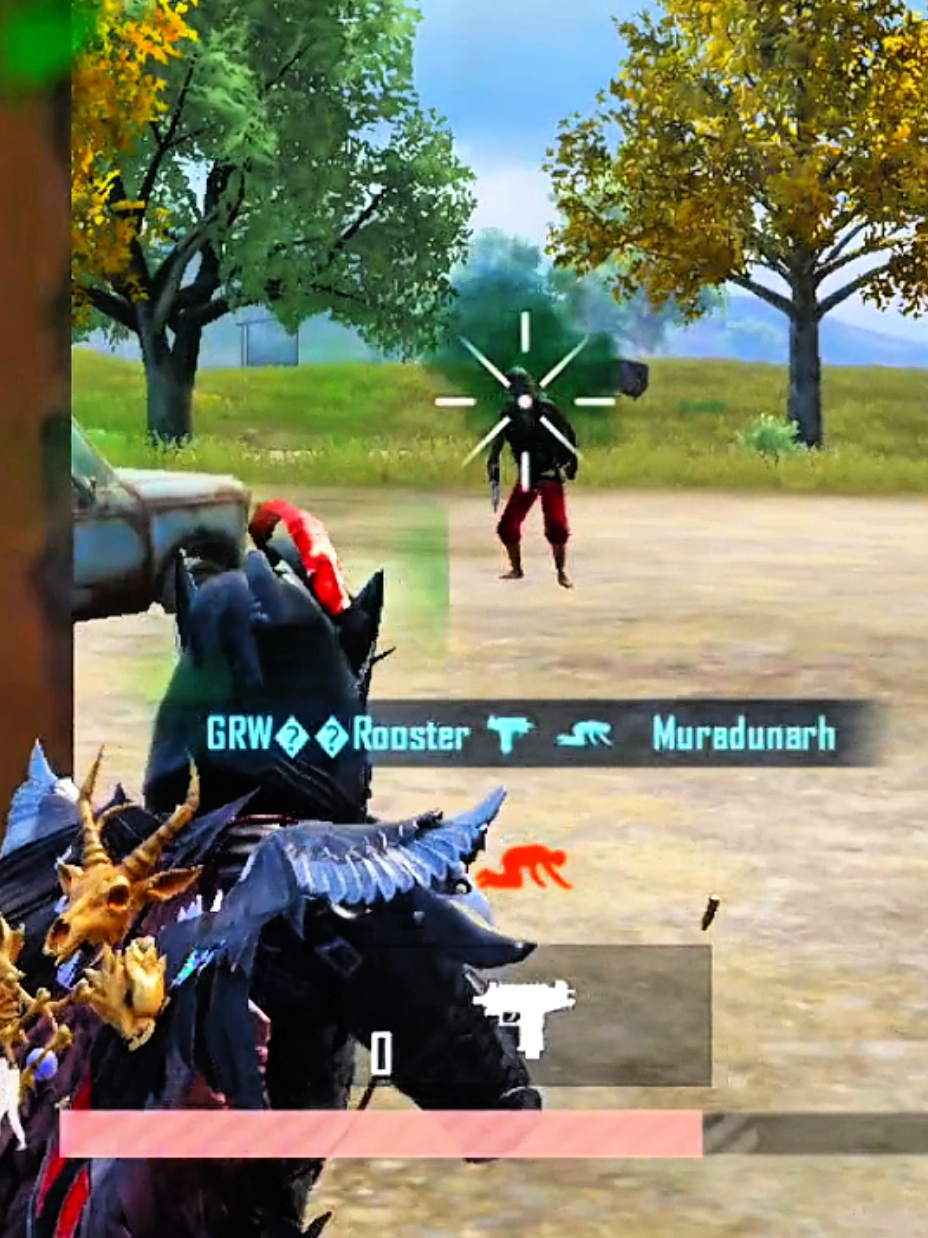 @GRW rooster