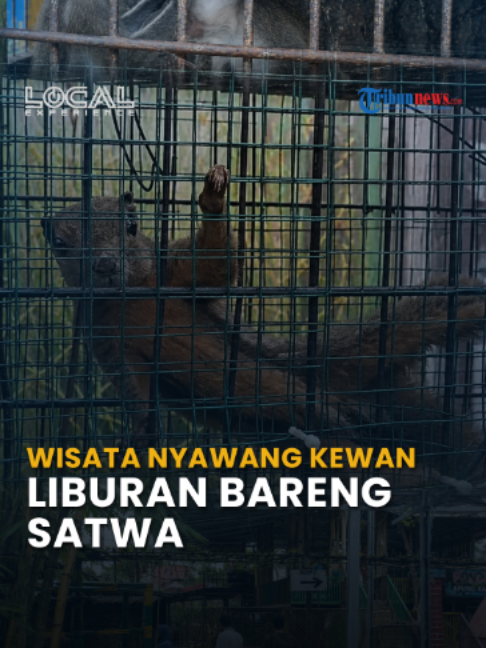 @Tribunnews