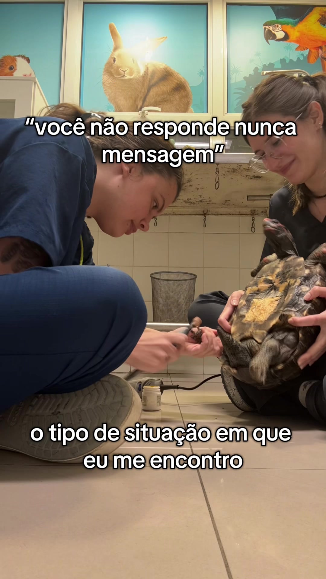 @Marcela Antunes
