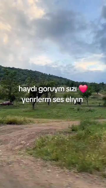 @GUNES