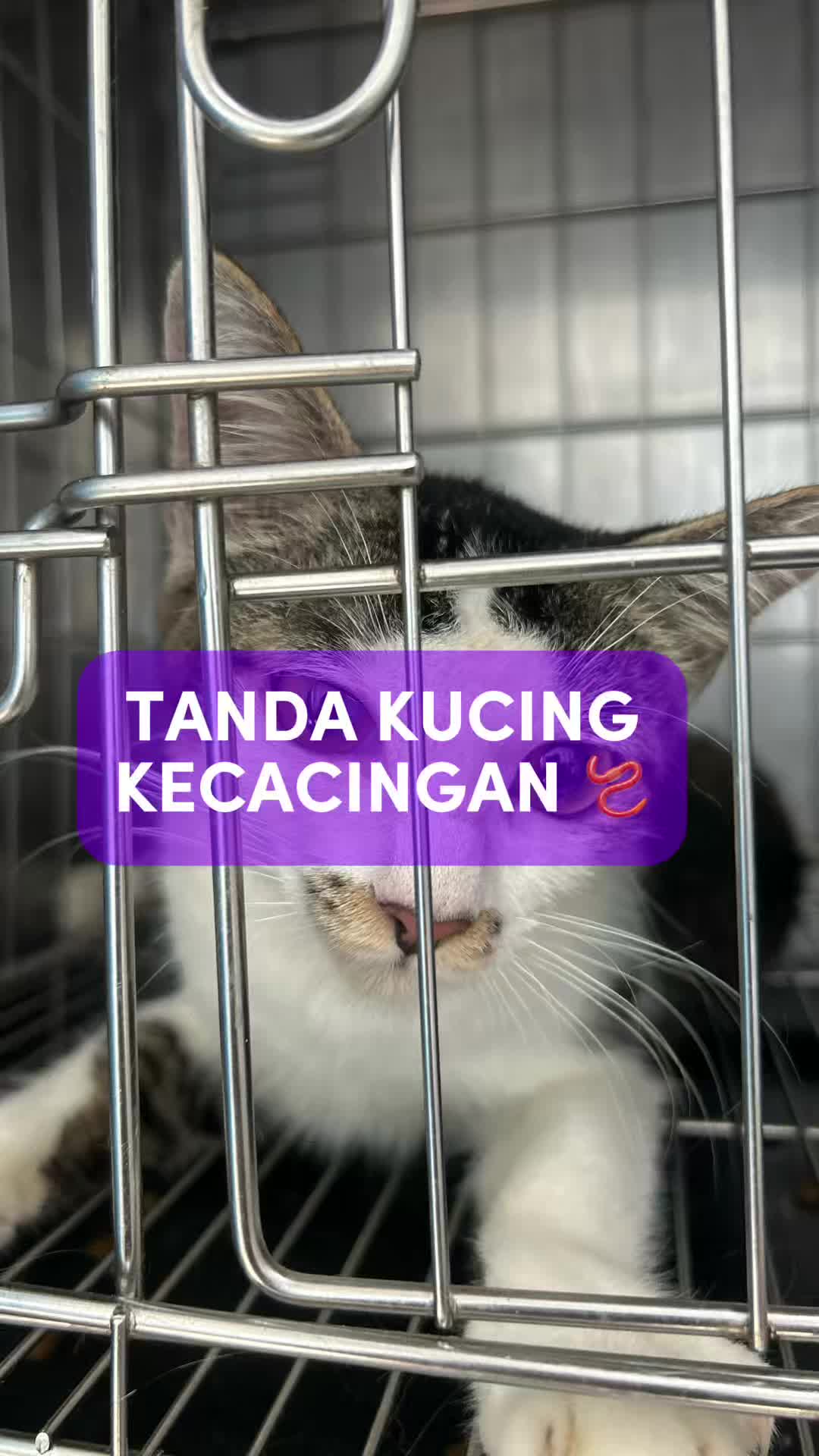 @Tuahvet