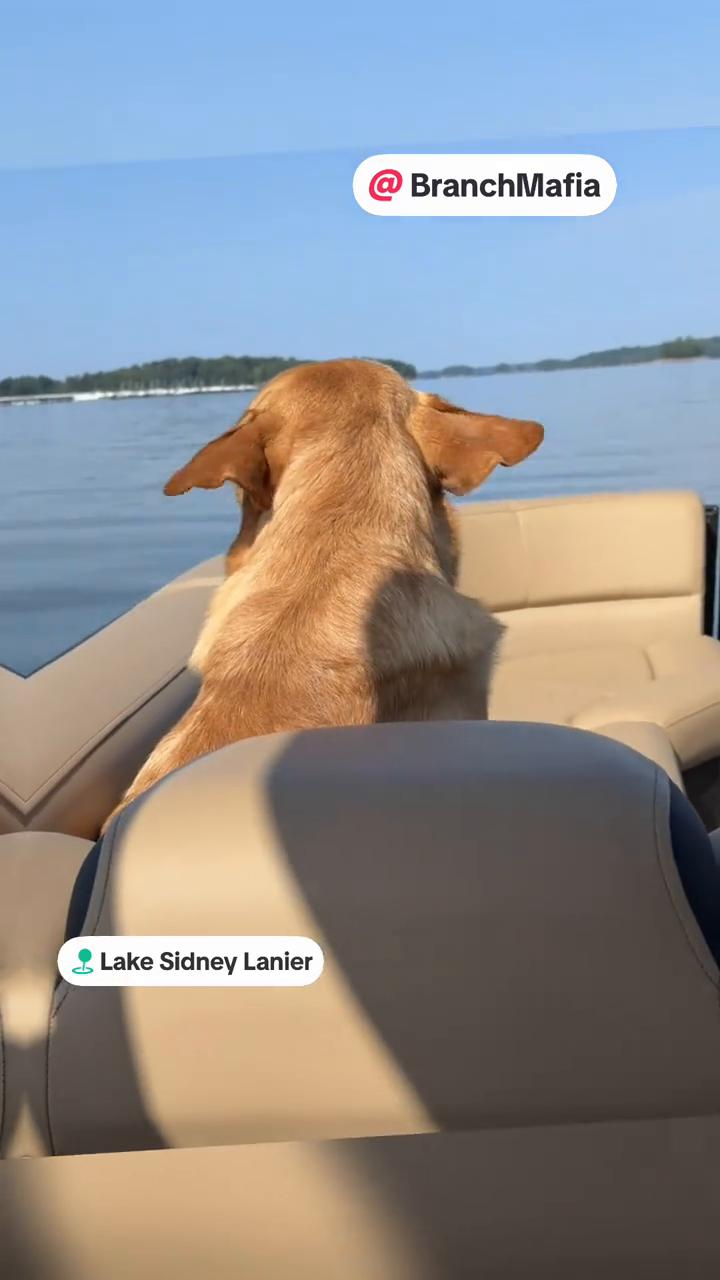 @Suevaugharealtor