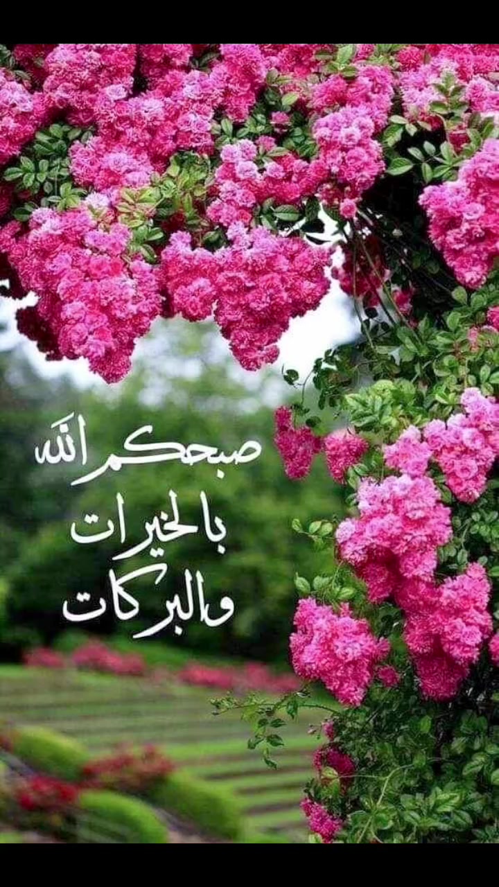 @كنوز الجنة