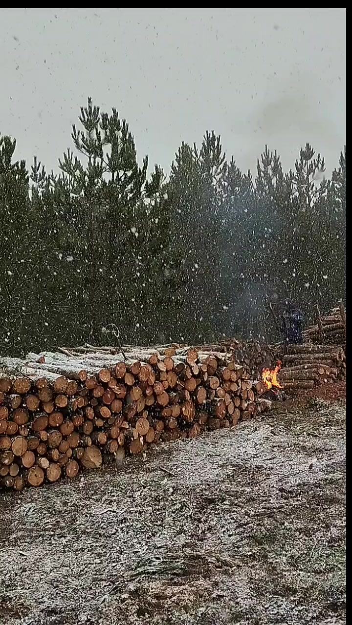 @ERKAN AKGÜN
