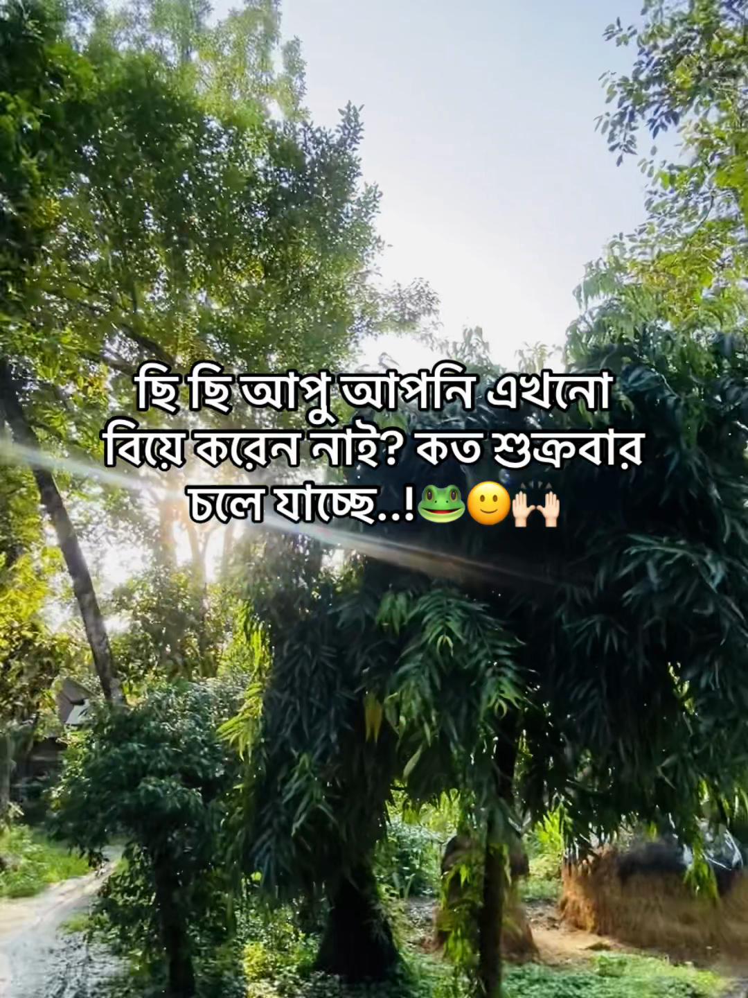 @টিক-টিকি