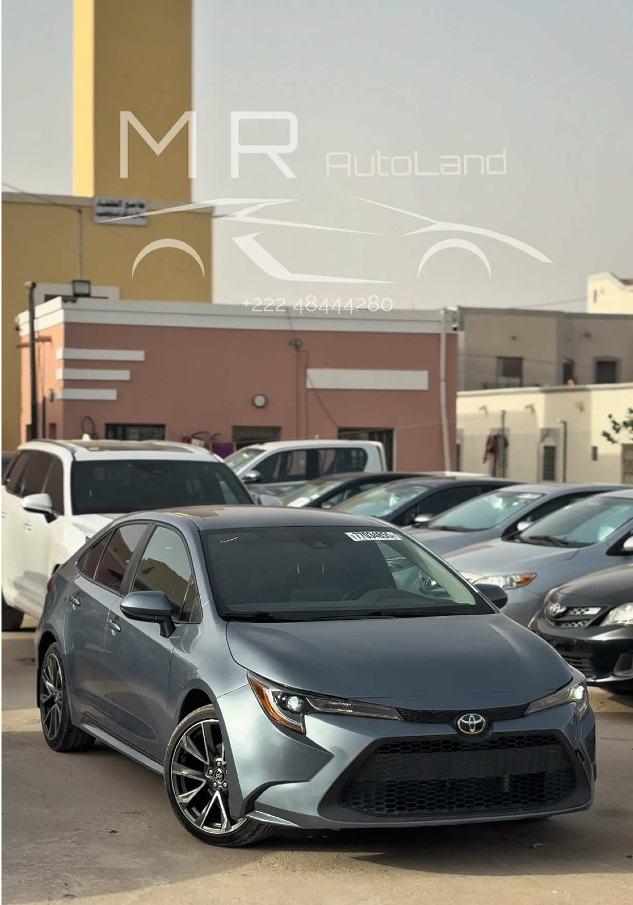 @mr_autoland
