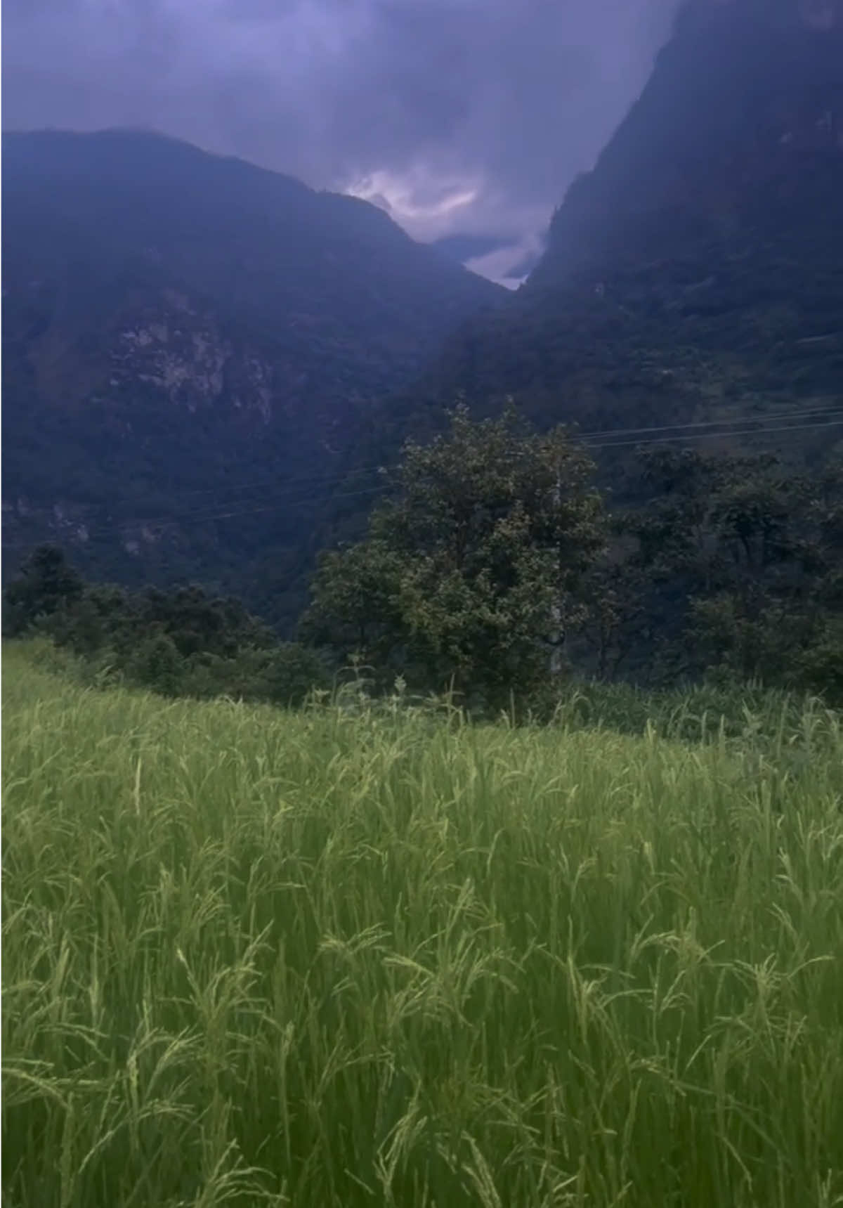 @dineshkarki12
