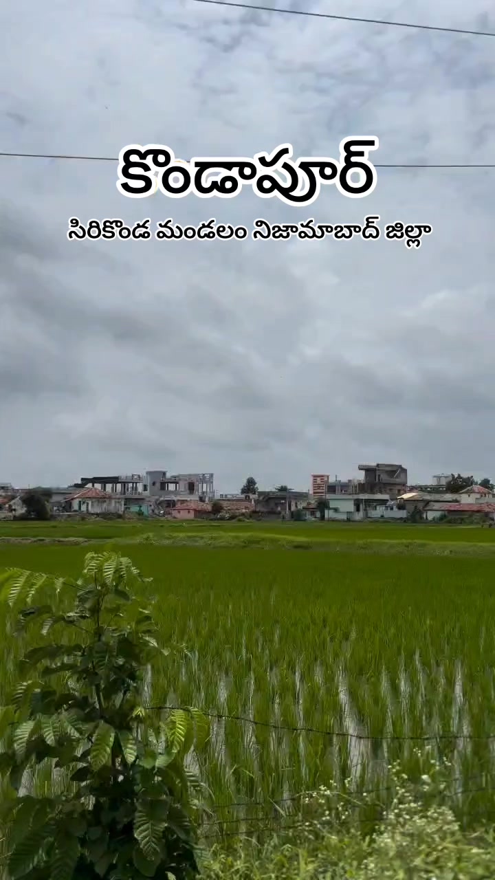 @🚩దళ నాయకుడు✊